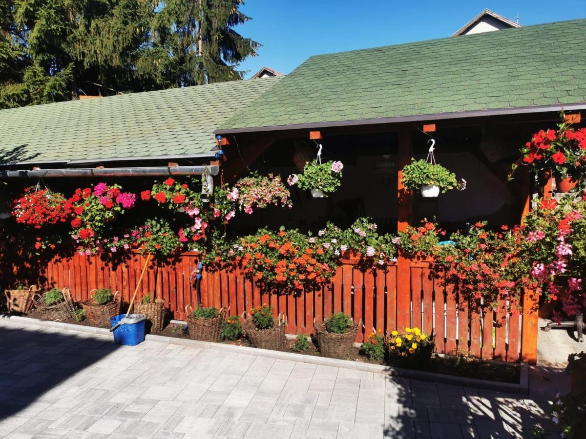 Hotel Sepsi Relax Sfântu-Gheorghe Exterior foto